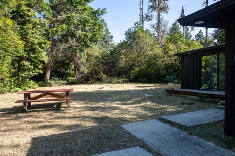 Yard with picnic table beside the cabin